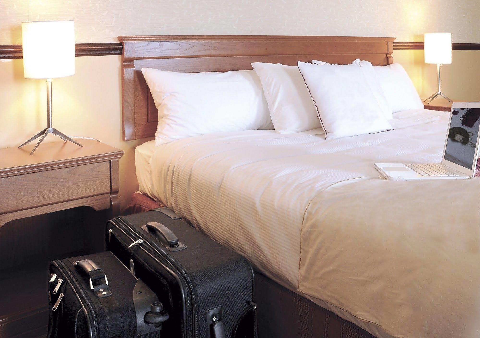 Hotel Universel אלמה מראה חיצוני תמונה